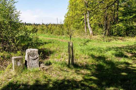 Bild Grenzsteine mit Birnbaum