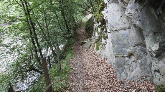 Felsformationen an der Rur bei Monschau
